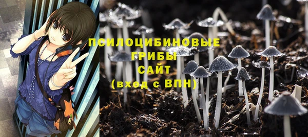 кокс Алексин