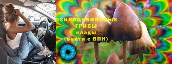 кокс Алексин