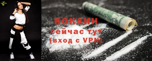 кокс Алексин