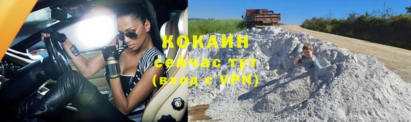кокс Алексин