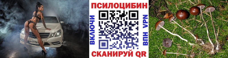 Псилоцибиновые грибы прущие грибы  магазин  наркотиков  Ковров 